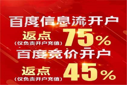 竞价排名优化策略案例分析